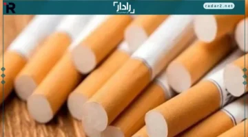 أسعار مزدوجة.. تعرف على قيمة السجائر المحلية والمستوردة في 16 ديسمبر 2025